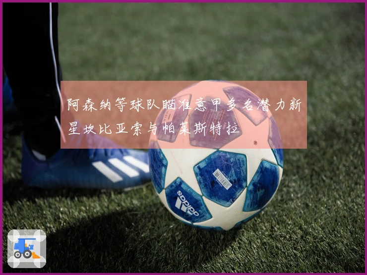 阿森纳等球队瞄准意甲多名潜力新星坎比亚索与帕莱斯特拉
