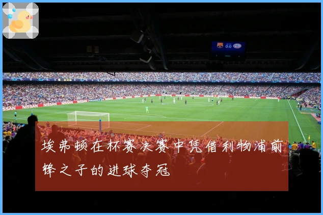 埃弗顿在杯赛决赛中凭借利物浦前锋之子的进球夺冠