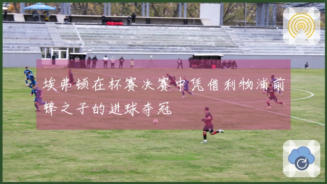 埃弗顿在杯赛决赛中凭借利物浦前锋之子的进球夺冠